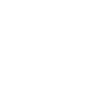ícono Conectar